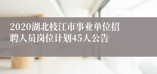 2020湖北枝江市事业单位招聘人员岗位计划45人公告