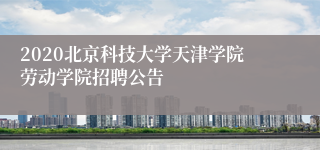 2020北京科技大学天津学院劳动学院招聘公告