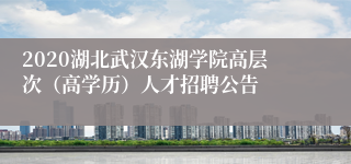 2020湖北武汉东湖学院高层次（高学历）人才招聘公告