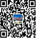 2025年度鸡西虎林市“黑龙江人才周”校园引才活动招聘87人公告