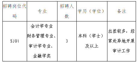 2025年铜陵市审计局招聘编外3人公告