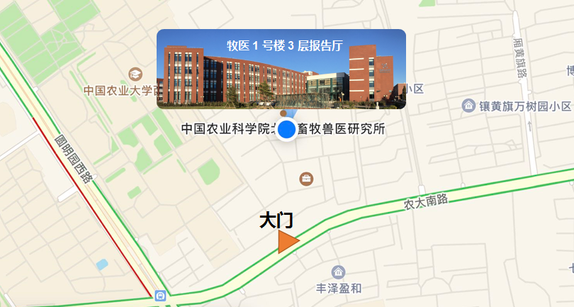 地图.png