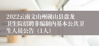 2022云南文山州砚山县盘龙卫生院招聘非编制内基本公共卫生人员公告（1人）