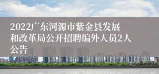 2022广东河源市紫金县发展和改革局公开招聘编外人员2人公告