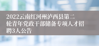 2022云南红河州泸西县第二轮青年党政干部储备专项人才招聘3人公告
