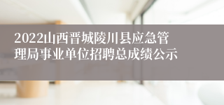 2022山西晋城陵川县应急管理局事业单位招聘总成绩公示