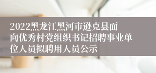 2022黑龙江黑河市逊克县面向优秀村党组织书记招聘事业单位人员拟聘用人员公示