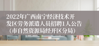 2022年广西南宁经济技术开发区劳务派遣人员招聘1人公告（市自然资源局经开区分局）