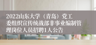 2022山东大学（青岛）党工委组织宣传统战部非事业编制管理岗位人员招聘1人公告