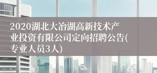 2020湖北大冶湖高新技术产业投资有限公司定向招聘公告(专业人员3人)