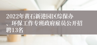 2022年黄石新港园区综保办、环保工作专班政府雇员公开招聘13名