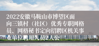 2022安徽马鞍山市博望区面向三镇村（社区）优秀专职网格员、网格秘书定向招聘区机关事业单位聘用人员2人公