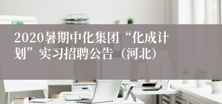 2020暑期中化集团“化成计划”实习招聘公告（河北）