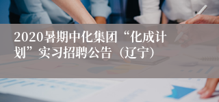 2020暑期中化集团“化成计划”实习招聘公告（辽宁）