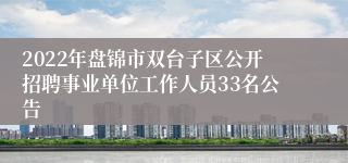 2022年盘锦市双台子区公开招聘事业单位工作人员33名公告