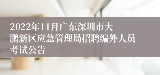 2022年11月广东深圳市大鹏新区应急管理局招聘编外人员考试公告