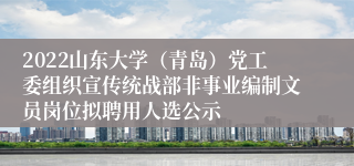 2022山东大学（青岛）党工委组织宣传统战部非事业编制文员岗位拟聘用人选公示