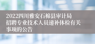 2022四川雅安石棉县审计局招聘专业技术人员递补体检有关事项的公告