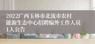 2022广西玉林市北流市农村能源生态中心招聘编外工作人员1人公告