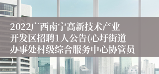 2022广西南宁高新技术产业开发区招聘1人公告(心圩街道办事处村级综合服务中心协管员）