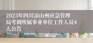 2023年四川凉山州应急管理局考调所属事业单位工作人员4人公告