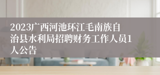 2023广西河池环江毛南族自治县水利局招聘财务工作人员1人公告