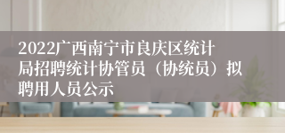 2022广西南宁市良庆区统计局招聘统计协管员（协统员）拟聘用人员公示