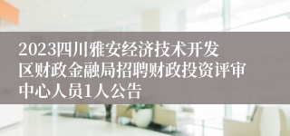 2023四川雅安经济技术开发区财政金融局招聘财政投资评审中心人员1人公告