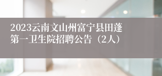 2023云南文山州富宁县田蓬第一卫生院招聘公告（2人）