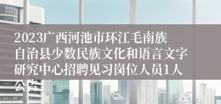 2023广西河池市环江毛南族自治县少数民族文化和语言文字研究中心招聘见习岗位人员1人公告