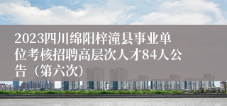 2023四川绵阳梓潼县事业单位考核招聘高层次人才84人公告（第六次）