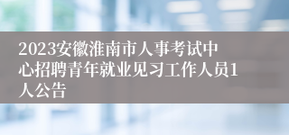 2023安徽淮南市人事考试中心招聘青年就业见习工作人员1人公告