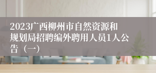 2023广西柳州市自然资源和规划局招聘编外聘用人员1人公告（一）