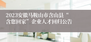 2023安徽马鞍山市含山县“含您回家”企业人才回归公告