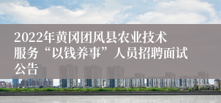 2022年黄冈团风县农业技术服务“以钱养事”人员招聘面试公告