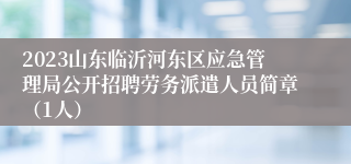 2023山东临沂河东区应急管理局公开招聘劳务派遣人员简章（1人）