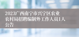 2023广西南宁市兴宁区农业农村局招聘编制外工作人员1人公告