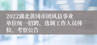 2022湖北黄冈市团风县事业单位统一招聘、选调工作人员体检、考察公告