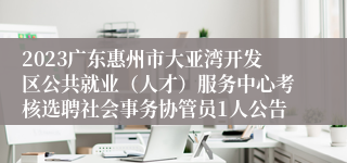 2023广东惠州市大亚湾开发区公共就业（人才）服务中心考核选聘社会事务协管员1人公告