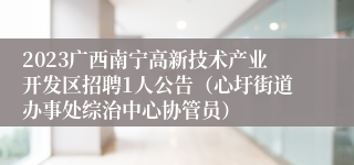 2023广西南宁高新技术产业开发区招聘1人公告（心圩街道办事处综治中心协管员）