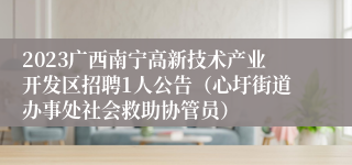 2023广西南宁高新技术产业开发区招聘1人公告（心圩街道办事处社会救助协管员）