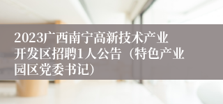 2023广西南宁高新技术产业开发区招聘1人公告（特色产业园区党委书记）