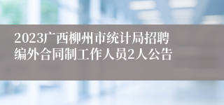 2023广西柳州市统计局招聘编外合同制工作人员2人公告
