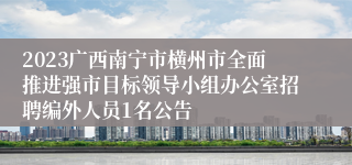 2023广西南宁市横州市全面推进强市目标领导小组办公室招聘编外人员1名公告