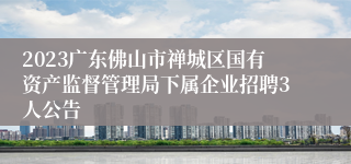 2023广东佛山市禅城区国有资产监督管理局下属企业招聘3人公告