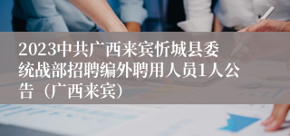 2023中共广西来宾忻城县委统战部招聘编外聘用人员1人公告（广西来宾）