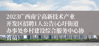 2023广西南宁高新技术产业开发区招聘1人公告(心圩街道办事处乡村建设综合服务中心协管员）