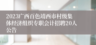 2023广西百色靖西市村级集体经济组织专职会计招聘20人公告