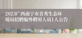 2023广西南宁市青秀生态环境局招聘编外聘用人员1人公告