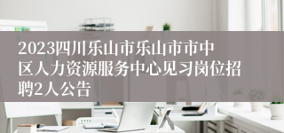 2023四川乐山市乐山市市中区人力资源服务中心见习岗位招聘2人公告